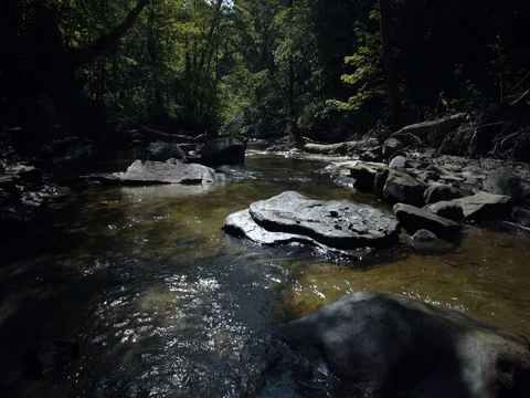 Walking up flowing stream through woods Stock Footage 77167747