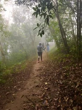 Walking in fog Stock Photos
