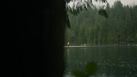 Walking on a Foggy Bridge in a Forest while Hiking in Vancouver, Wide Shot Stock Footage 133000659