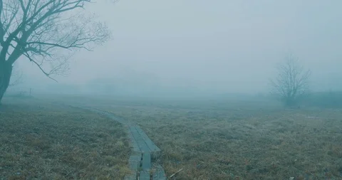 Walking on Foggy Path Stock-Footage 119371964