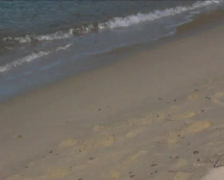 Walking Video stock 559703