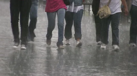 Walking Stock-Footage 2525290