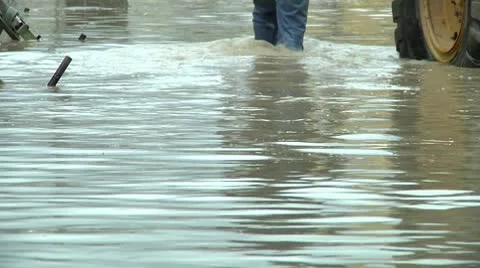 Walking Stock Footage 8846652