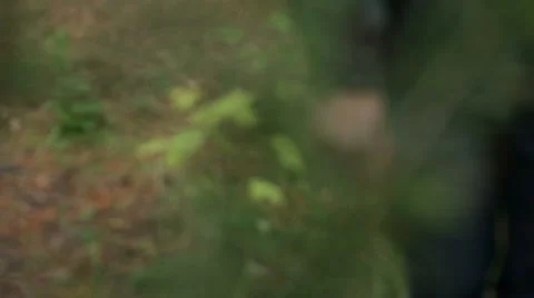 Walking Stock-Footage 12292786