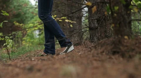 Walking Stock Footage 12292839