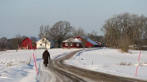 Walking Stock Footage 147944601