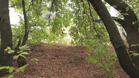 Walking Video stock 161947805