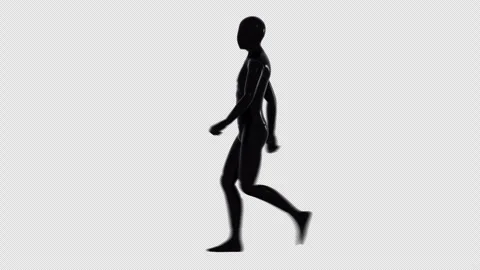 Walking Stock Footage 306666903