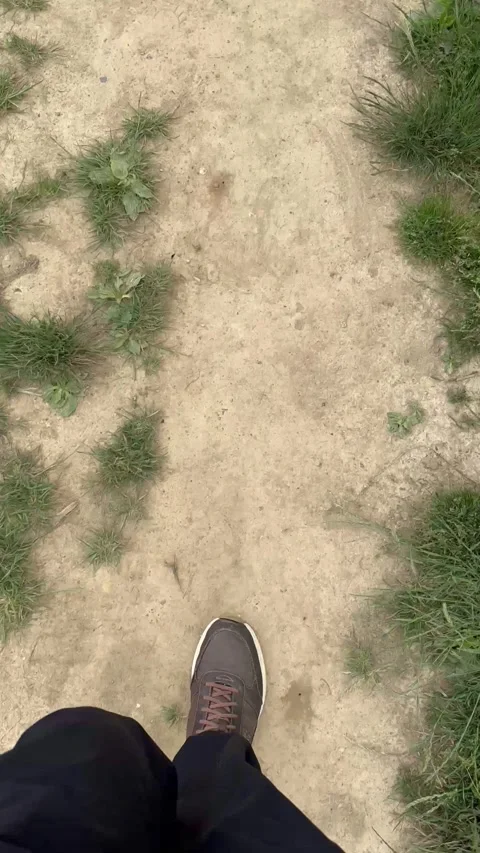 Walking Stock Footage 311048770