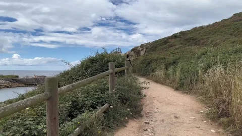 Walking footpath in mountain, walking, hiking, magpie is flying in the sky Stock Footage 244368568