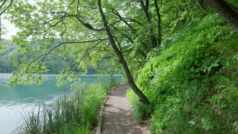Walking on a Footpath in Plitvice Lakes National Park. Stock Footage