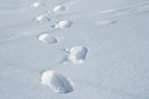 Walking footprints in snow Stock Photos