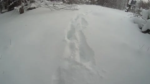 Walking in the footsteps in the snowdrifts Stock Footage 167411066