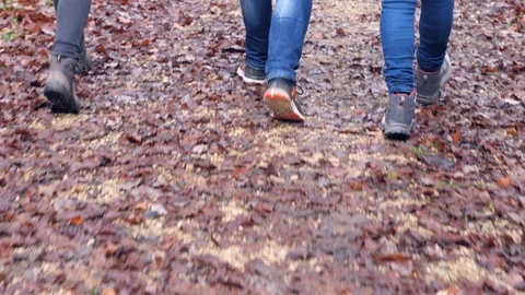Walking in the forest in autumn Video stock 100600033
