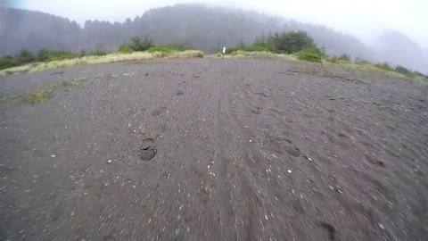 Walking into the Forest from the Beach Stock Footage 79586532