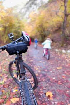 Walking the forest on a bicycle. Stock Photos