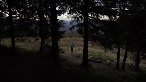 Walking in the forest on a cloudy day while exploring the natural surrounding Stock Footage 329057005