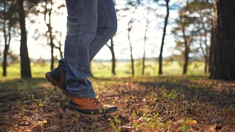 Walking in forest dog on trail. Man wears rugged boots for hiking path. Nature Stock Footage 320113662
