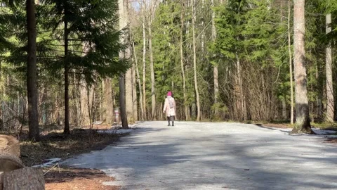 Walking in the forest in early spring Stock Footage 255461051