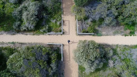 Walking in the Forest Stock Footage 111573701