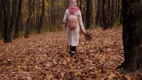 Walking in the forest Stock Footage 157278311