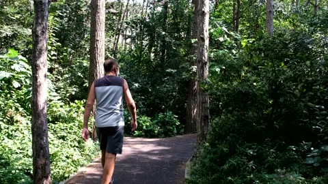 Walking in forest Stock Footage 162695296