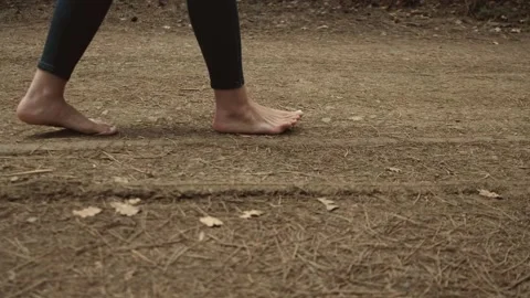 Walking on the Forest ground. Stock Footage 159003321
