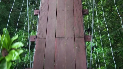 Walking at Forest Hanging Bridge Skywalk. POV Video stock 85349352