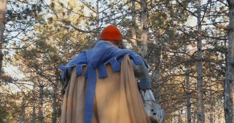 Walking in the forest A man with a beard in a medieval knight costume. Back view Stock Footage 276272985