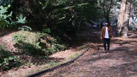 Walking forest, man walking on the walking track, in forest 2 versions Stock Footage 165848918