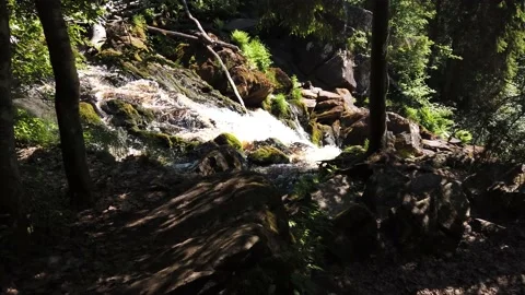 Walking in forest to mountain river. waterfall in dense forest. woodland creek Stock Footage 134734199