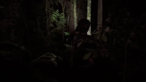 Walking in the forest at night. Video stock 272906576