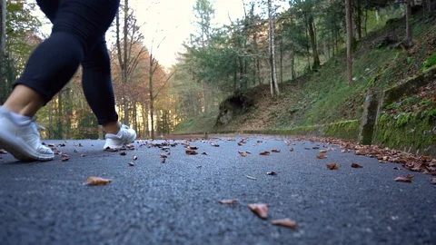 Walking in the forest in the open air Stock Footage 118771685