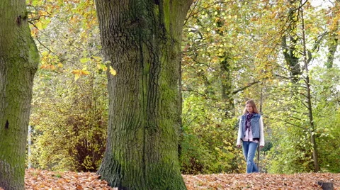 Walking on a forest path Stock Footage 56733028