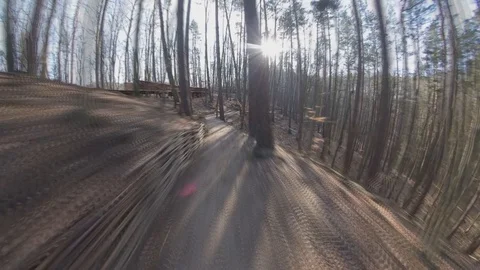 Walking on Forest Path Hill on Sunny Autumn Day Hyper Lapse POV Stock Footage 124981000