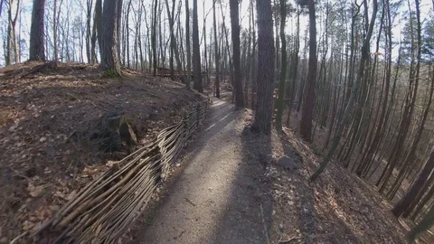 Walking on Forest Path Hill on Sunny Autumn Day POV Stock Footage 124981009