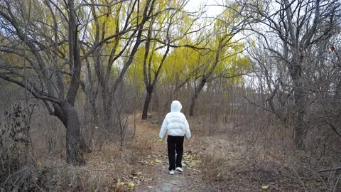 Walking on forest path winter mountain road Stock Footage 222968684
