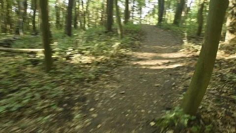 Walking on the forest pathway Stock-Footage 115799915