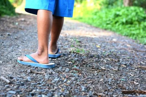 Walking in forest Stock Photos