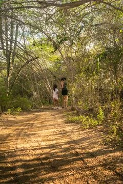 Walking in the forest Stock Photos