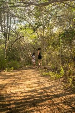 Walking in the forest Stock Photos