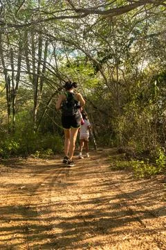 Walking in the forest Stock Photos