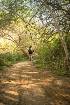 Walking in the forest Stock Photos