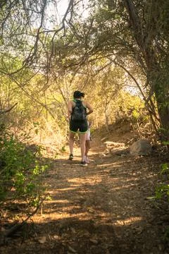 Walking in the forest Foto stock