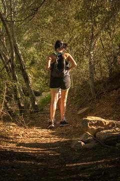 Walking in the forest Foto stock