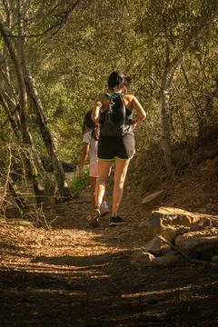 Walking in the forest Foto stock
