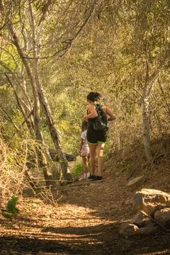 Walking in the forest Foto stock