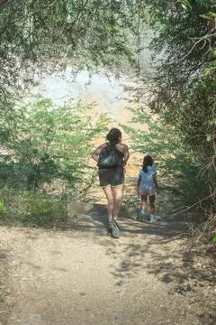 Walking in the forest Stock Photos