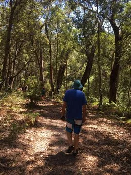 Walking in the Forest Stock Photos