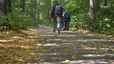 Walking on Forest Road 스톡 동영상 71213984